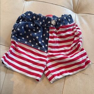 Chubbies Patriotic Star and Stripe Kids Shorts